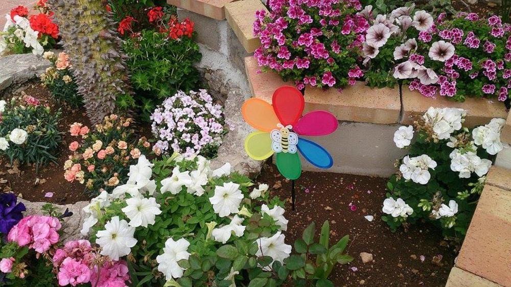 לינה וארוחת בוקר ארנלה Il Mirto E La Rosa מראה חיצוני תמונה
